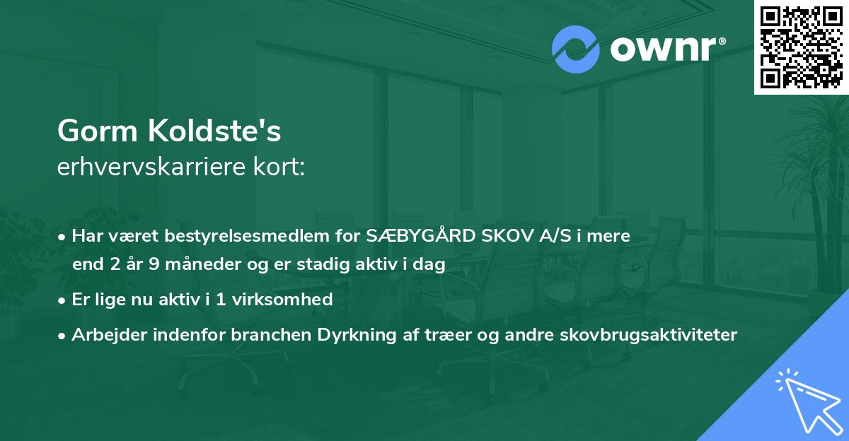 Gorm Koldste's erhvervskarriere kort