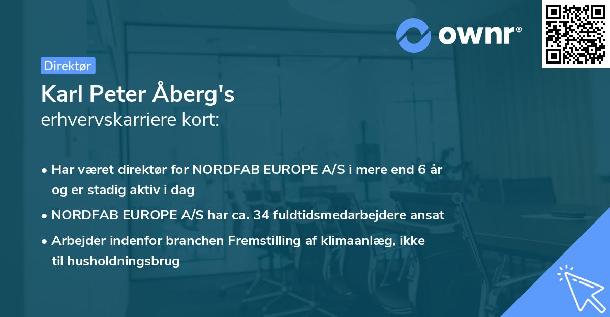 Karl Peter Åberg's erhvervskarriere kort