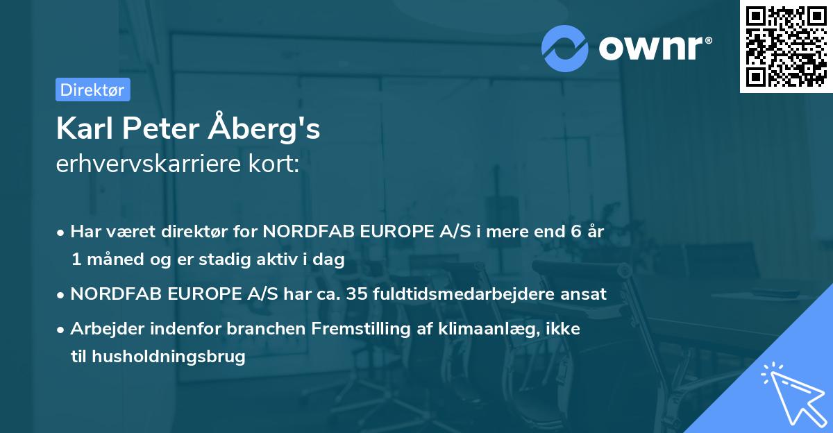Karl Peter Åberg's erhvervskarriere kort