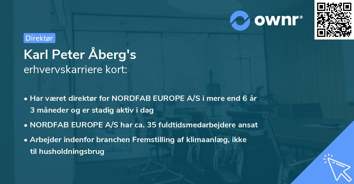 Karl Peter Åberg's erhvervskarriere kort