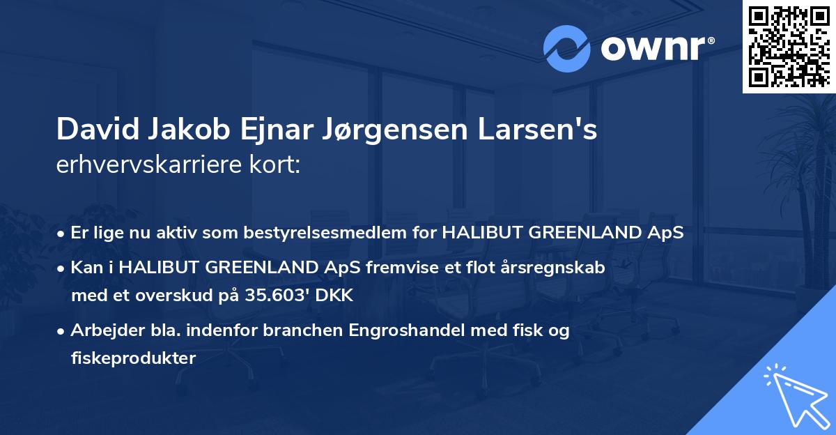 David Jakob Ejnar Jørgensen Larsen's erhvervskarriere kort