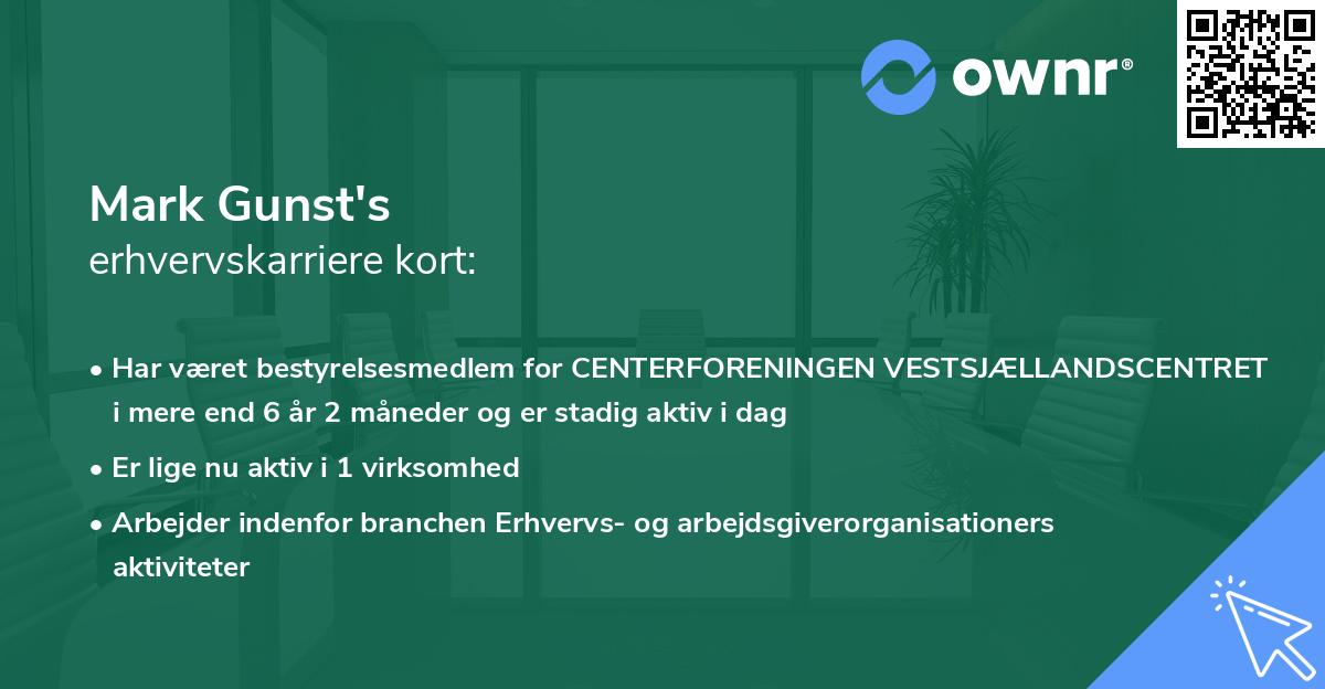 Mark Gunst's erhvervskarriere kort