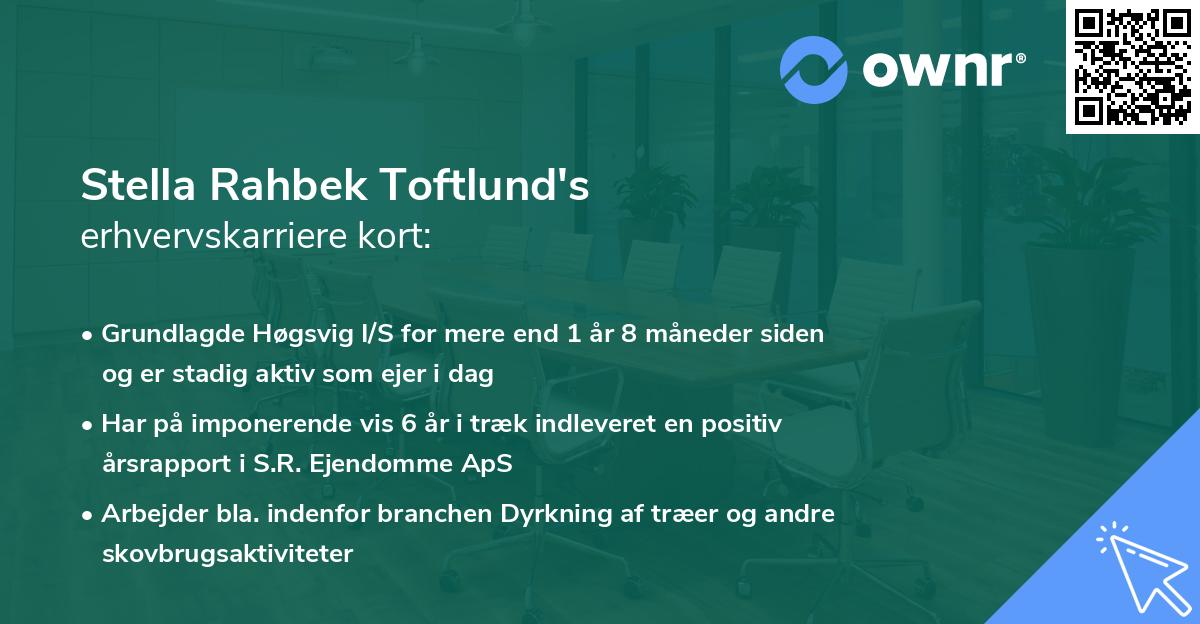 Stella Rahbek Toftlund's erhvervskarriere kort