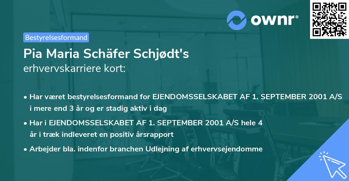 Pia Maria Schäfer Schjødt's erhvervskarriere kort