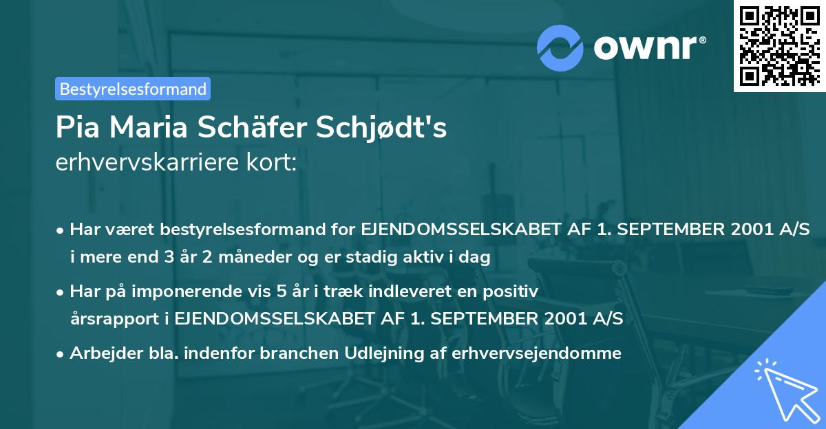 Pia Maria Schäfer Schjødt's erhvervskarriere kort