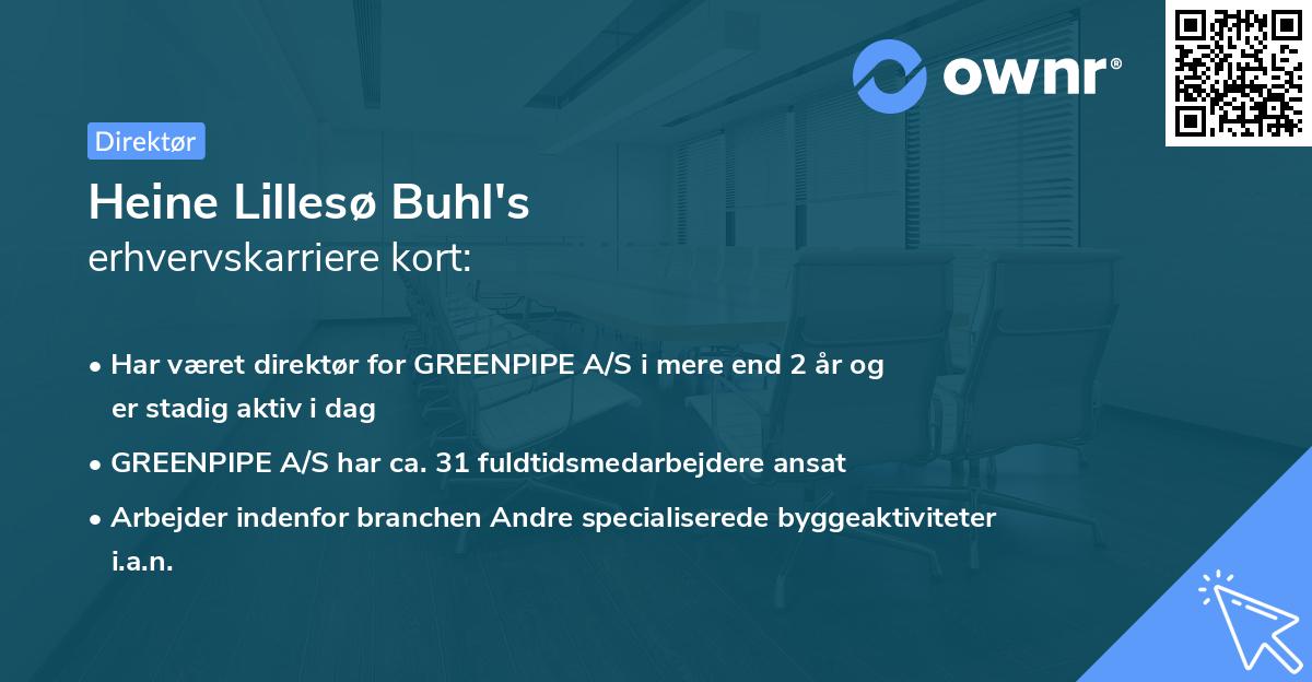 Heine Lillesø Buhl's erhvervskarriere kort