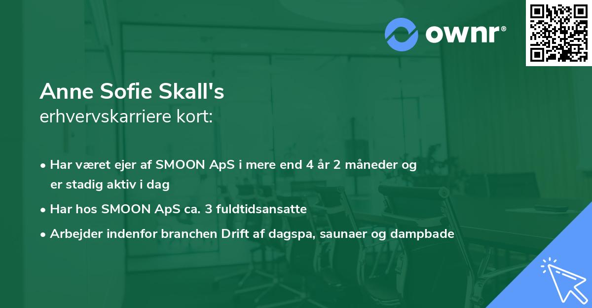 Anne Sofie Skall's erhvervskarriere kort
