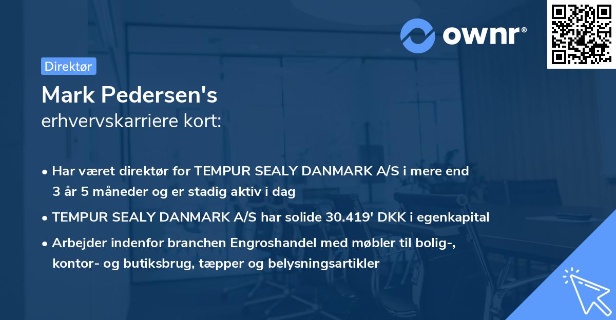 Mark Pedersen's erhvervskarriere kort
