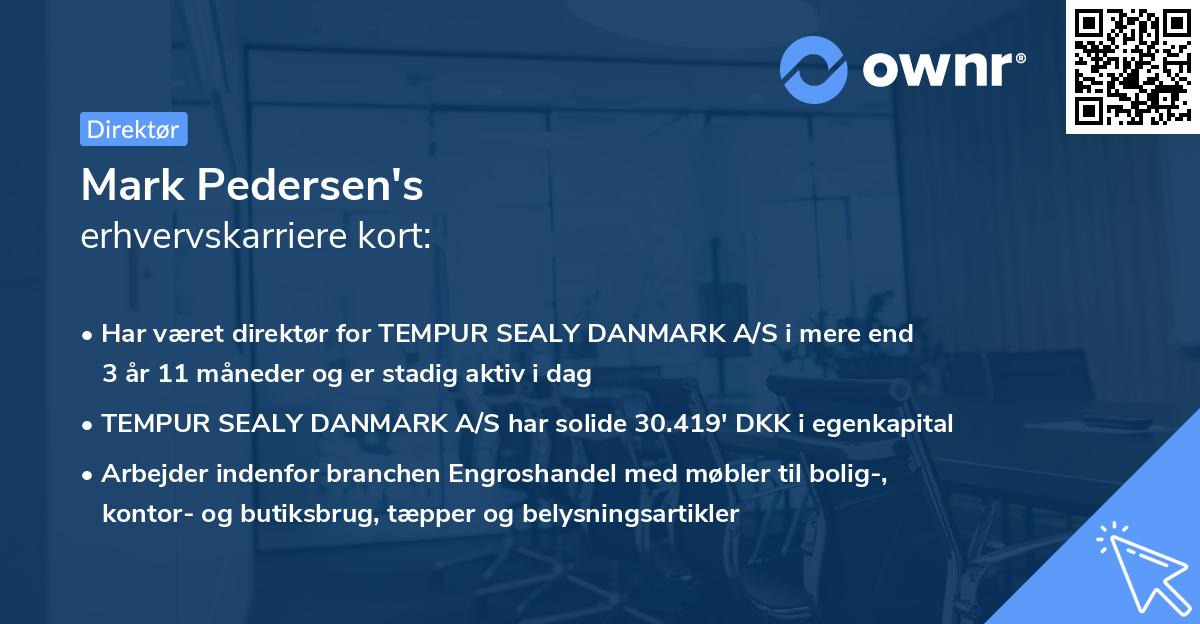 Mark Pedersen's erhvervskarriere kort