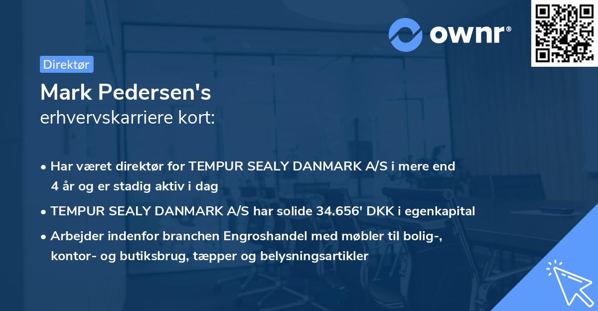 Mark Pedersen's erhvervskarriere kort