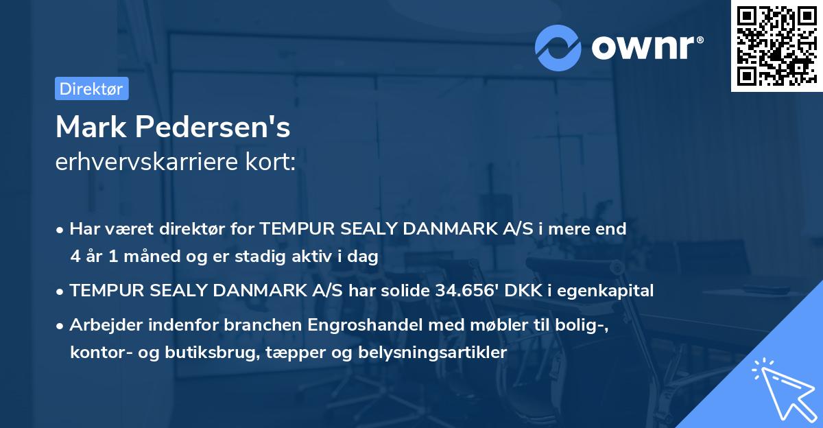 Mark Pedersen's erhvervskarriere kort