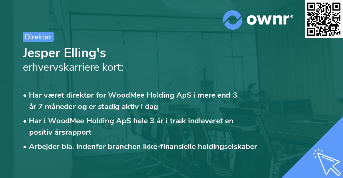 Jesper Elling's erhvervskarriere kort