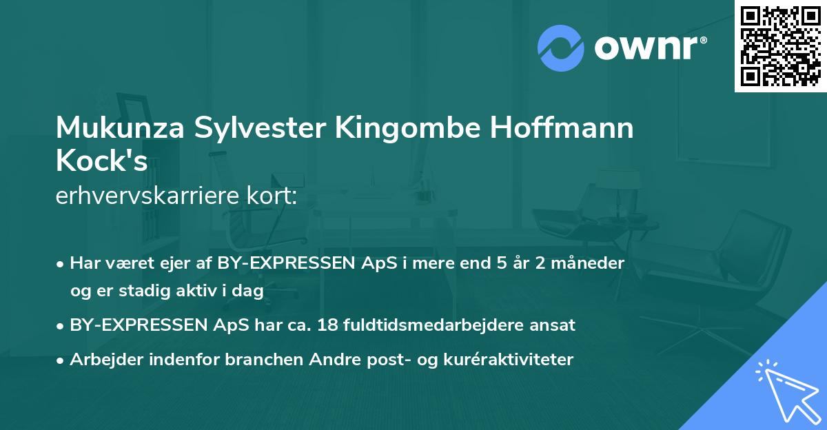 Mukunza Sylvester Kingombe Hoffmann Kock's erhvervskarriere kort