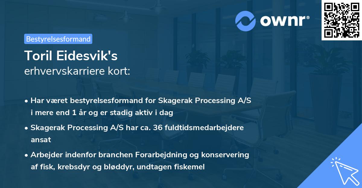 Toril Eidesvik's erhvervskarriere kort