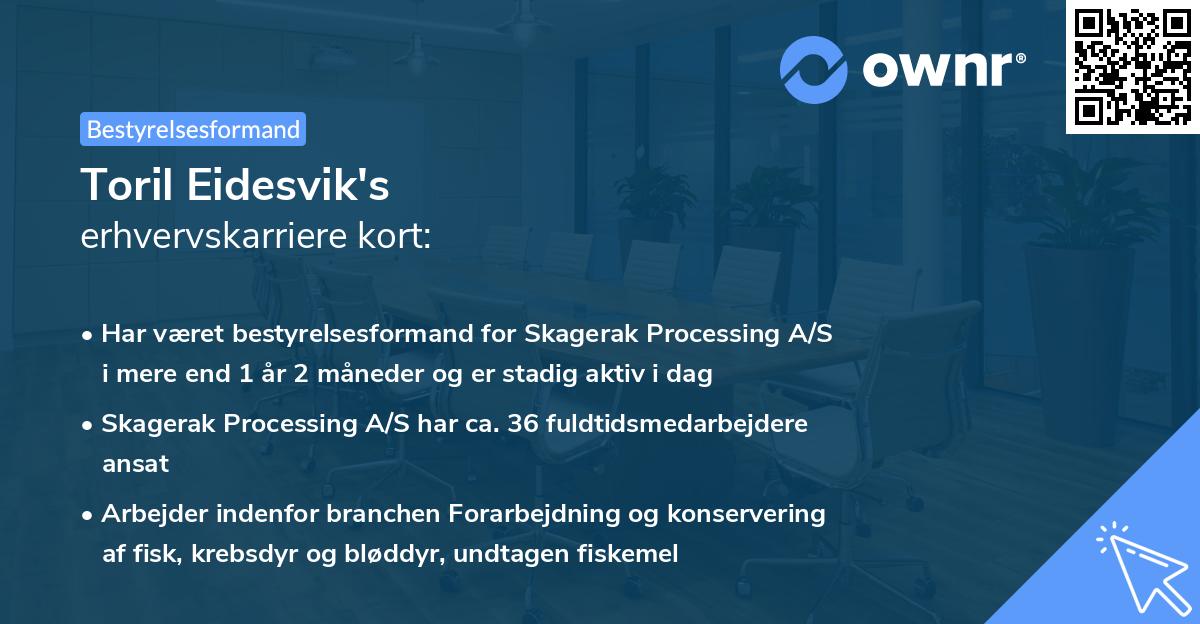 Toril Eidesvik's erhvervskarriere kort