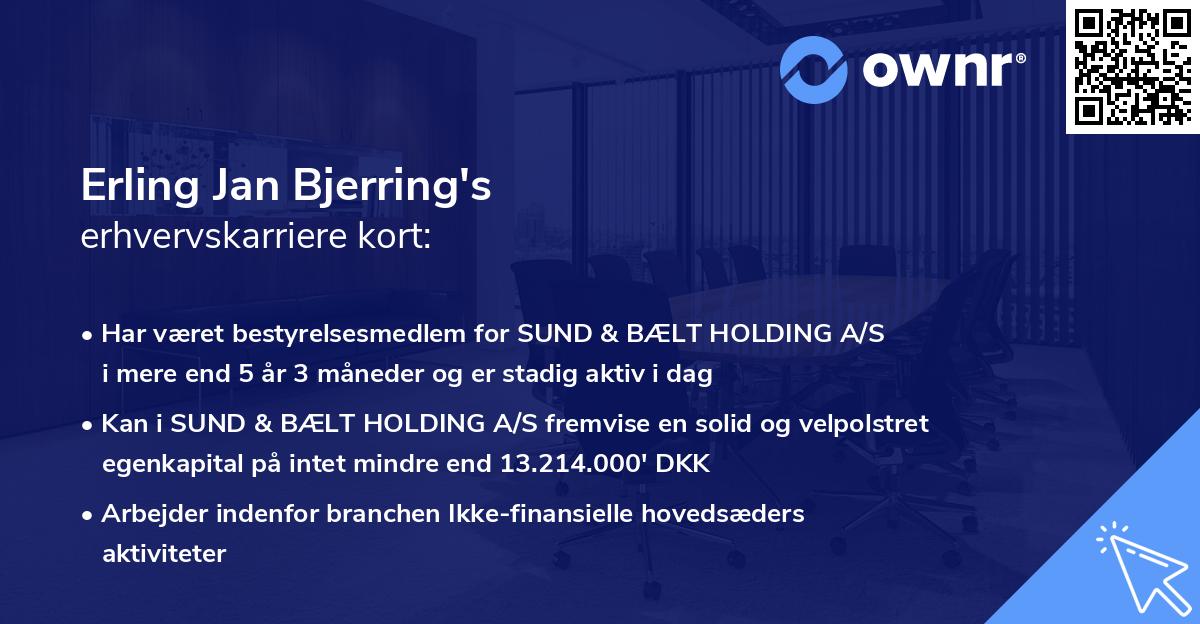 Erling Jan Bjerring's erhvervskarriere kort