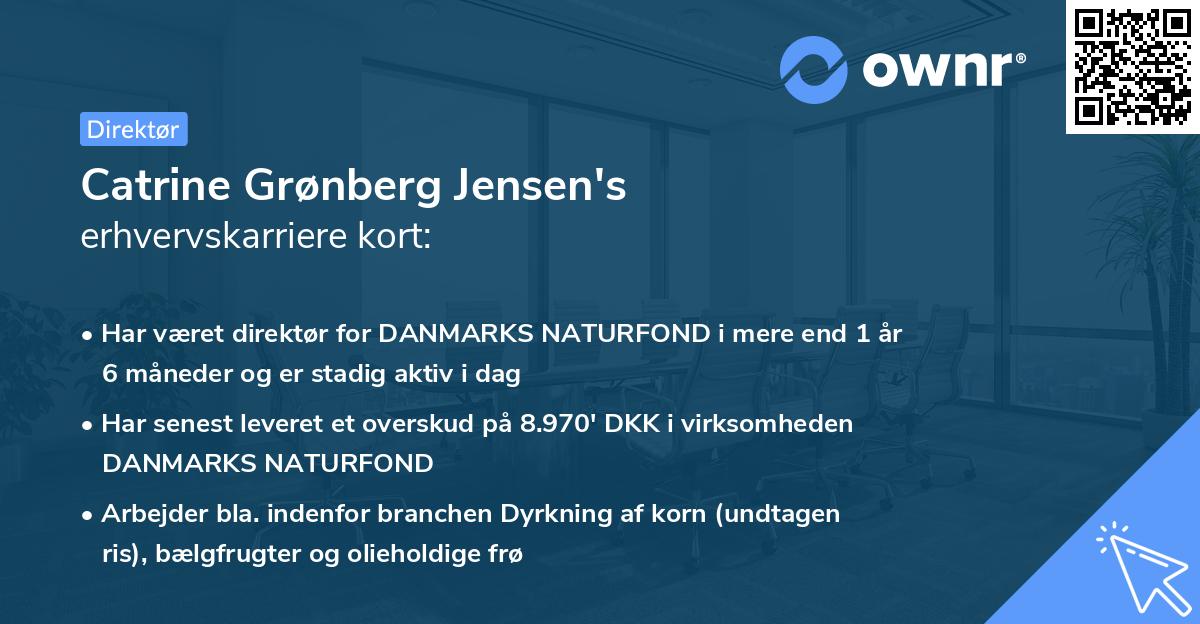 Catrine Grønberg Jensen's erhvervskarriere kort
