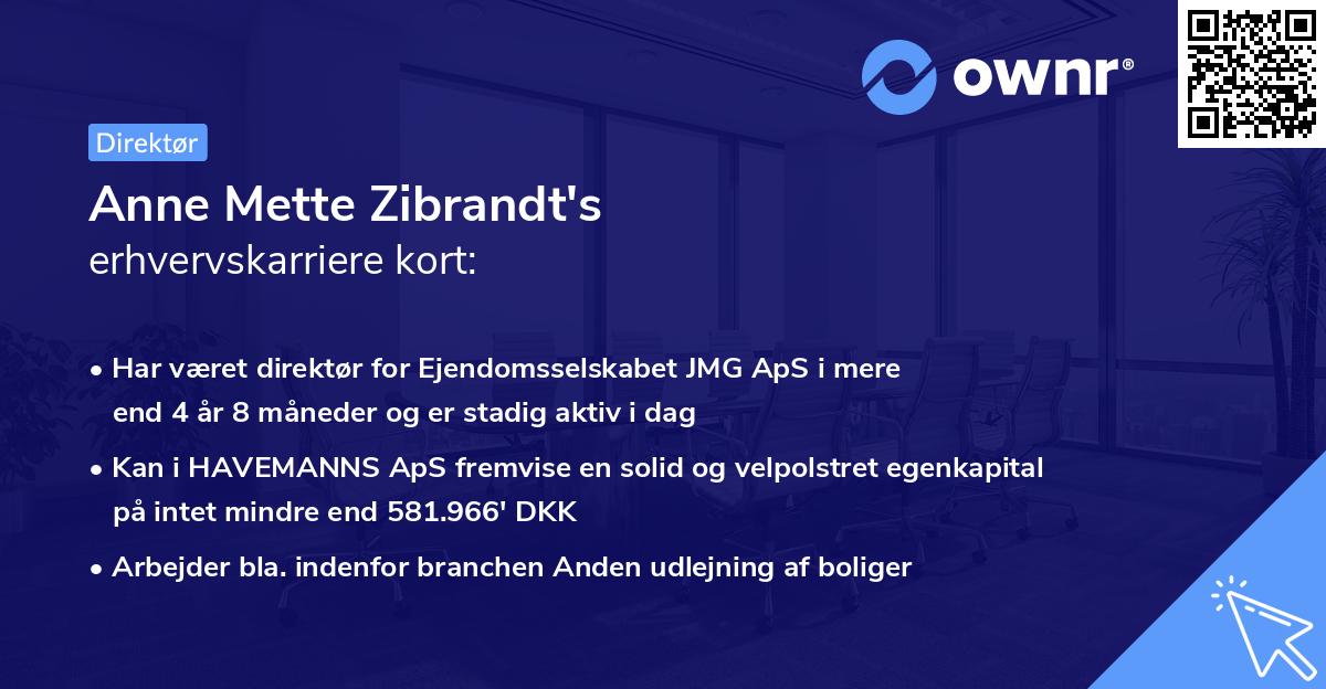 Anne Mette Zibrandt's erhvervskarriere kort