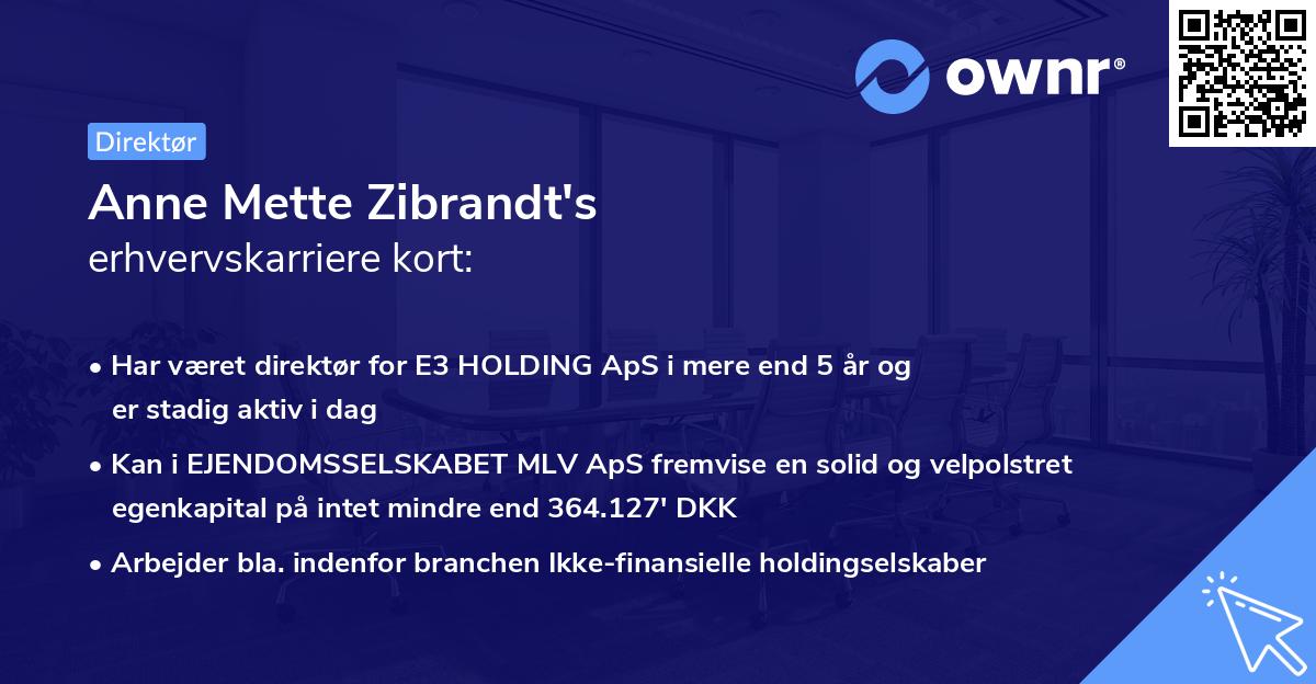 Anne Mette Zibrandt's erhvervskarriere kort