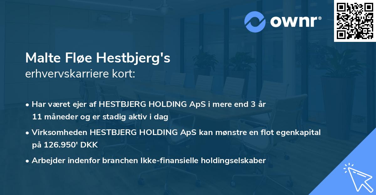 Malte Fløe Hestbjerg's erhvervskarriere kort