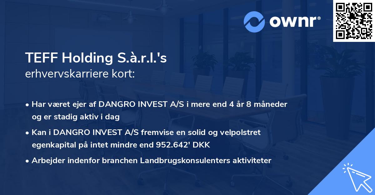 TEFF Holding S.à.r.l.'s erhvervskarriere kort