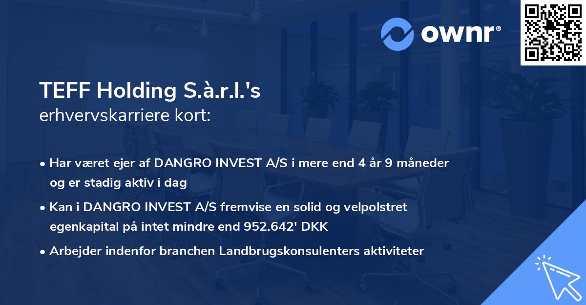 TEFF Holding S.à.r.l.'s erhvervskarriere kort
