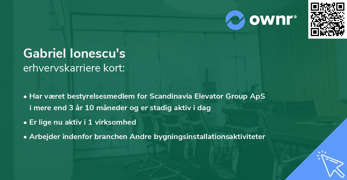 Gabriel Ionescu's erhvervskarriere kort