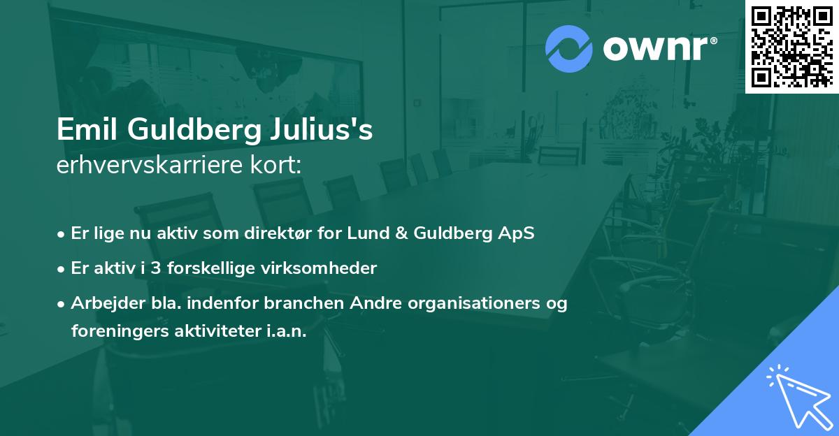 Emil Guldberg Julius's erhvervskarriere kort