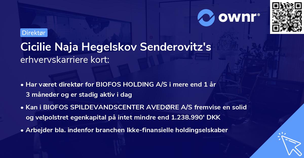Cicilie Naja Hegelskov Senderovitz's erhvervskarriere kort