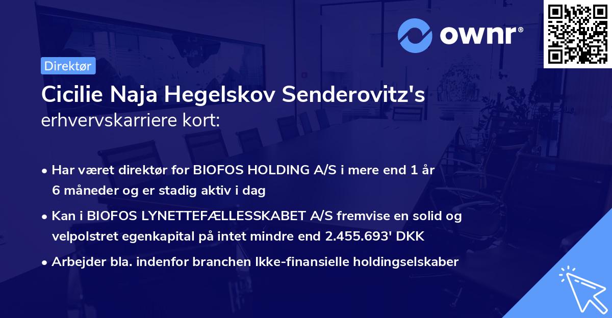 Cicilie Naja Hegelskov Senderovitz's erhvervskarriere kort