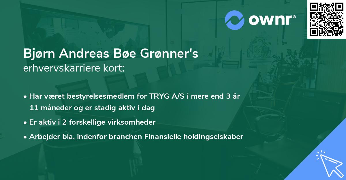 Bjørn Andreas Bøe Grønner's erhvervskarriere kort
