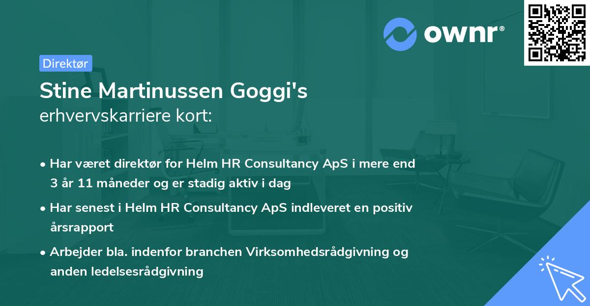 Stine Martinussen Goggi's erhvervskarriere kort