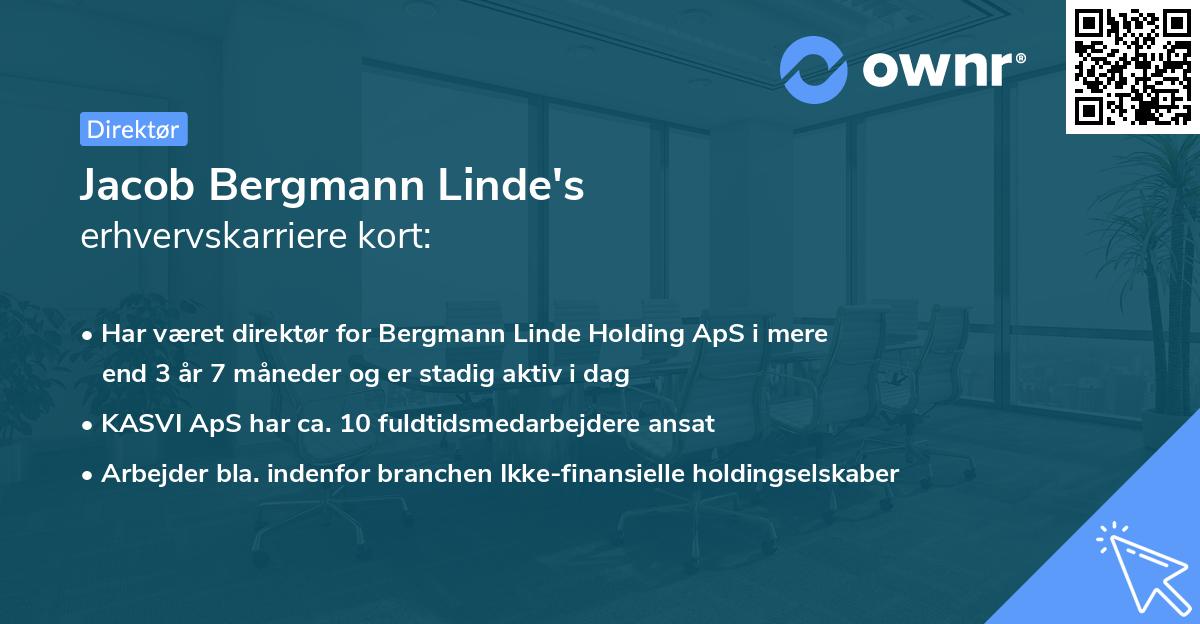 Jacob Bergmann Linde's erhvervskarriere kort