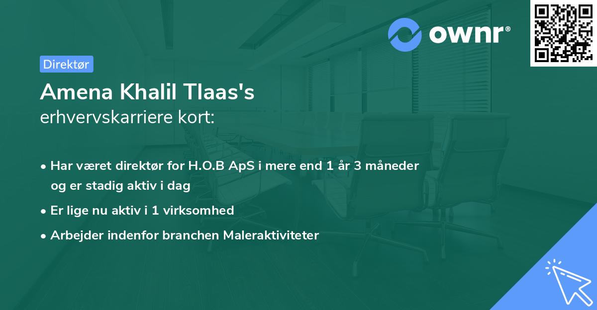 Amena Khalil Tlaas's erhvervskarriere kort