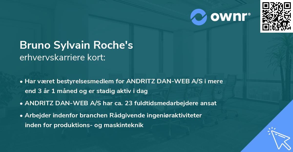 Bruno Sylvain Roche's erhvervskarriere kort
