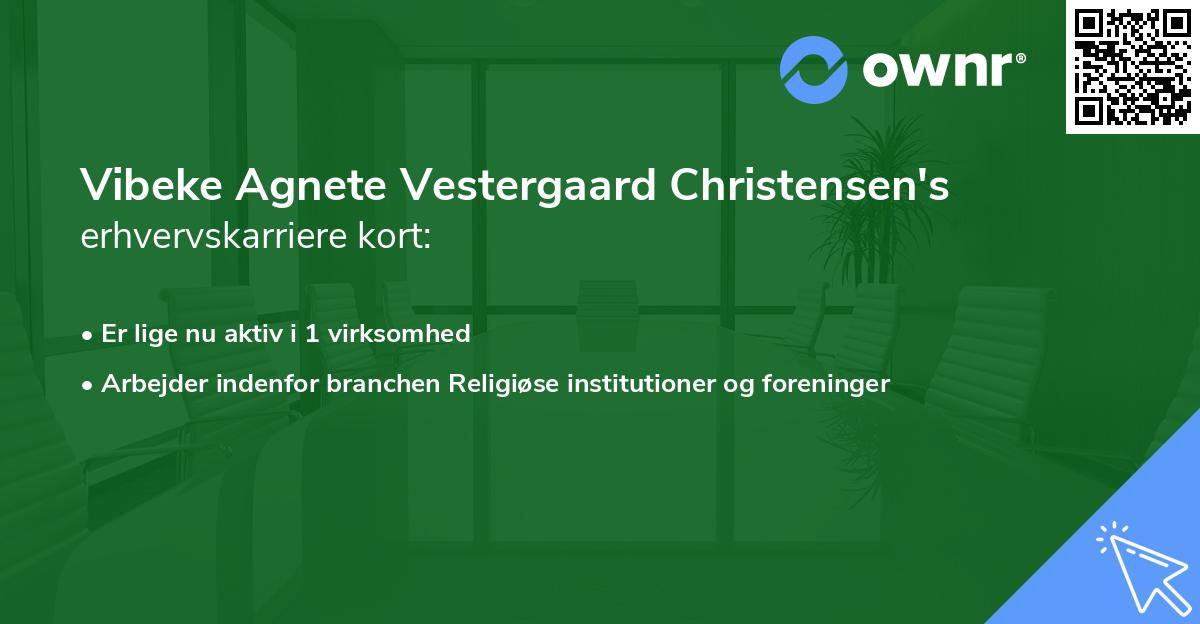 Vibeke Agnete Vestergaard Christensen's erhvervskarriere kort