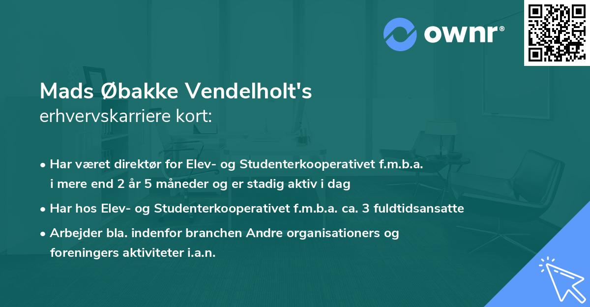 Mads Øbakke Vendelholt's erhvervskarriere kort