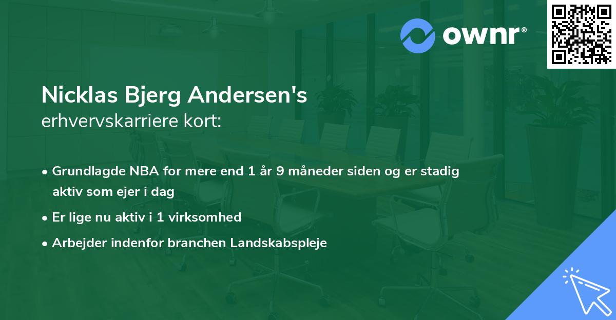 Nicklas Bjerg Andersen's erhvervskarriere kort