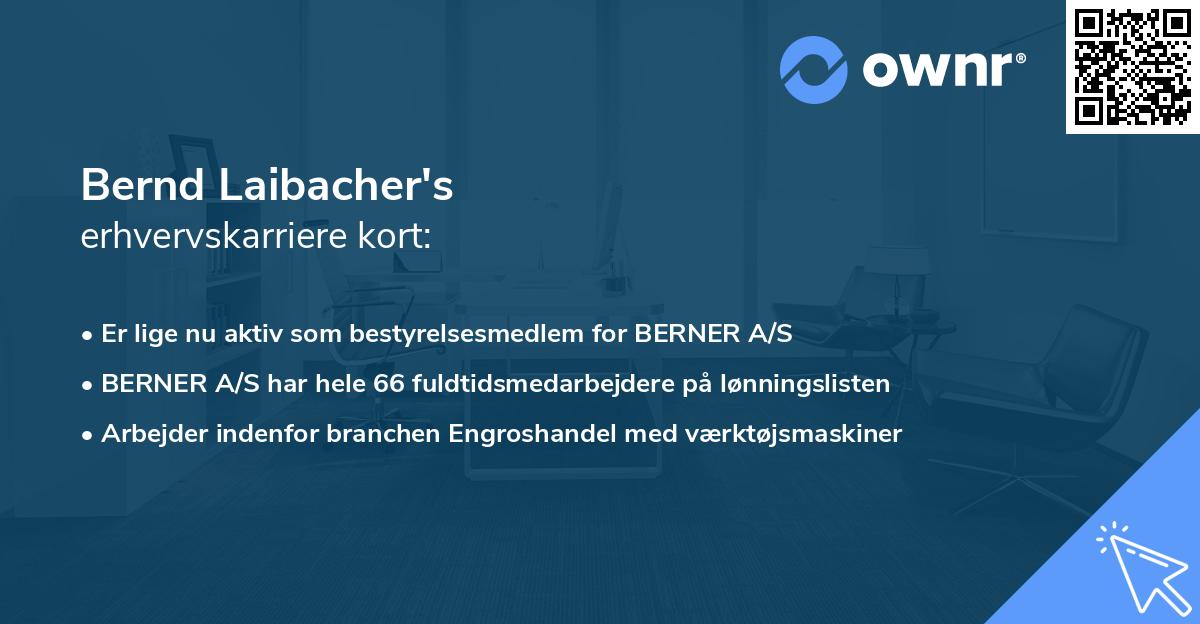 Bernd Laibacher's erhvervskarriere kort