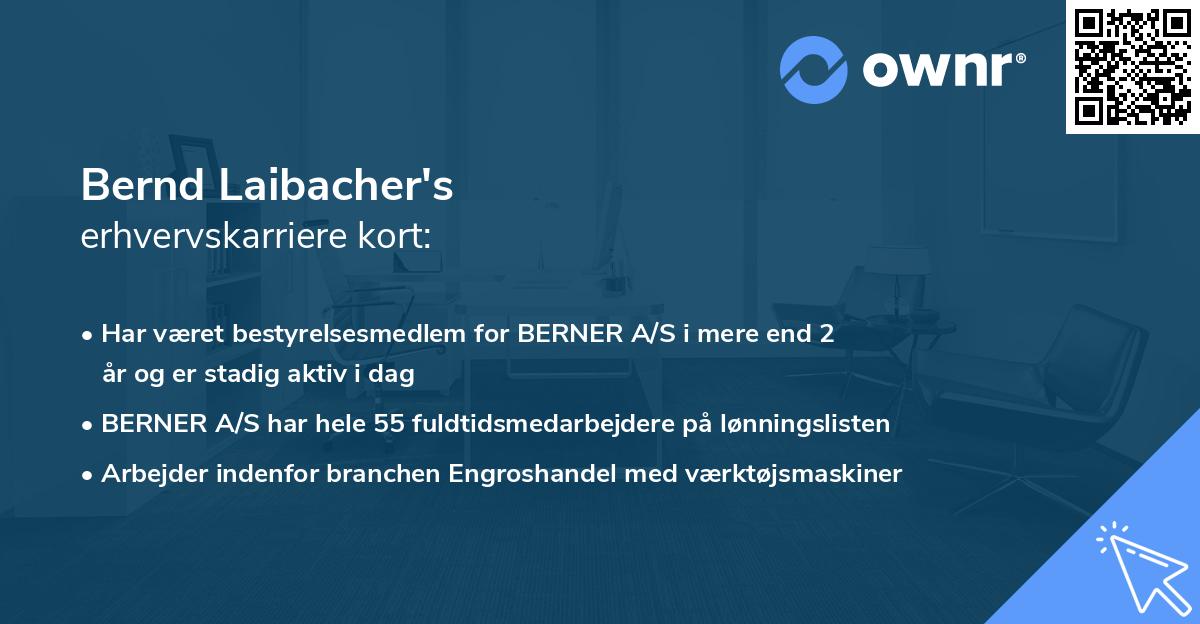 Bernd Laibacher's erhvervskarriere kort