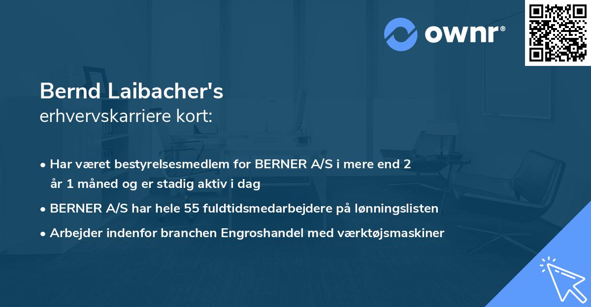 Bernd Laibacher's erhvervskarriere kort