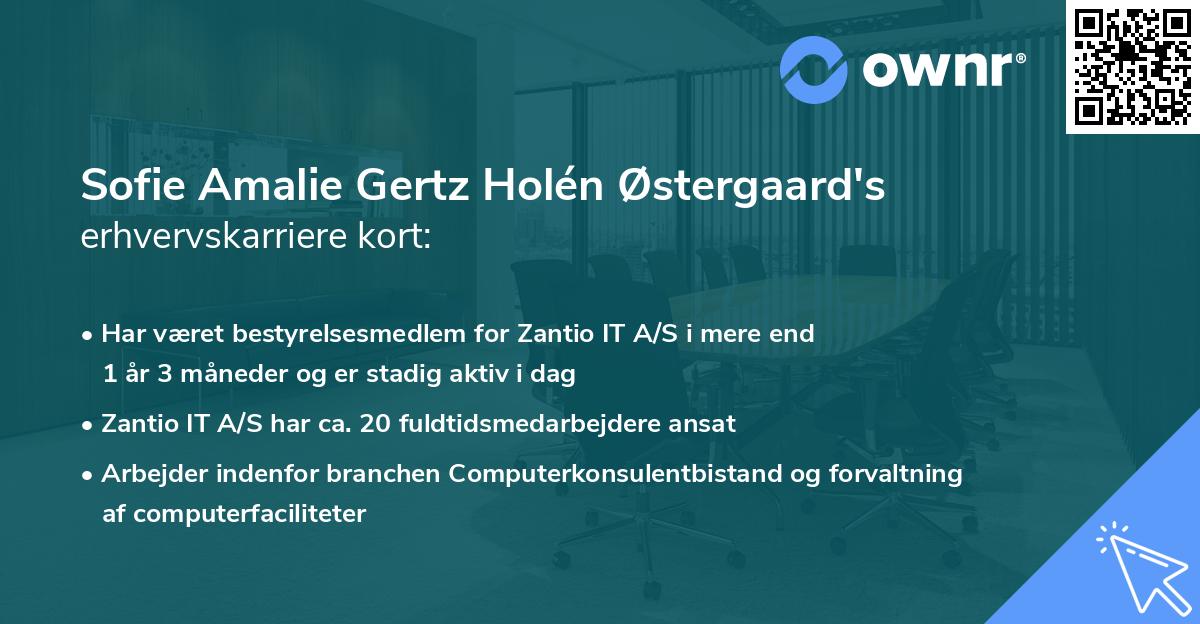 Sofie Amalie Gertz Holén Østergaard's erhvervskarriere kort