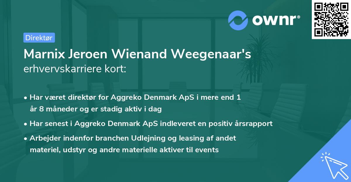 Marnix Jeroen Wienand Weegenaar's erhvervskarriere kort