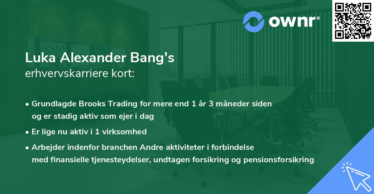 Luka Alexander Bang's erhvervskarriere kort
