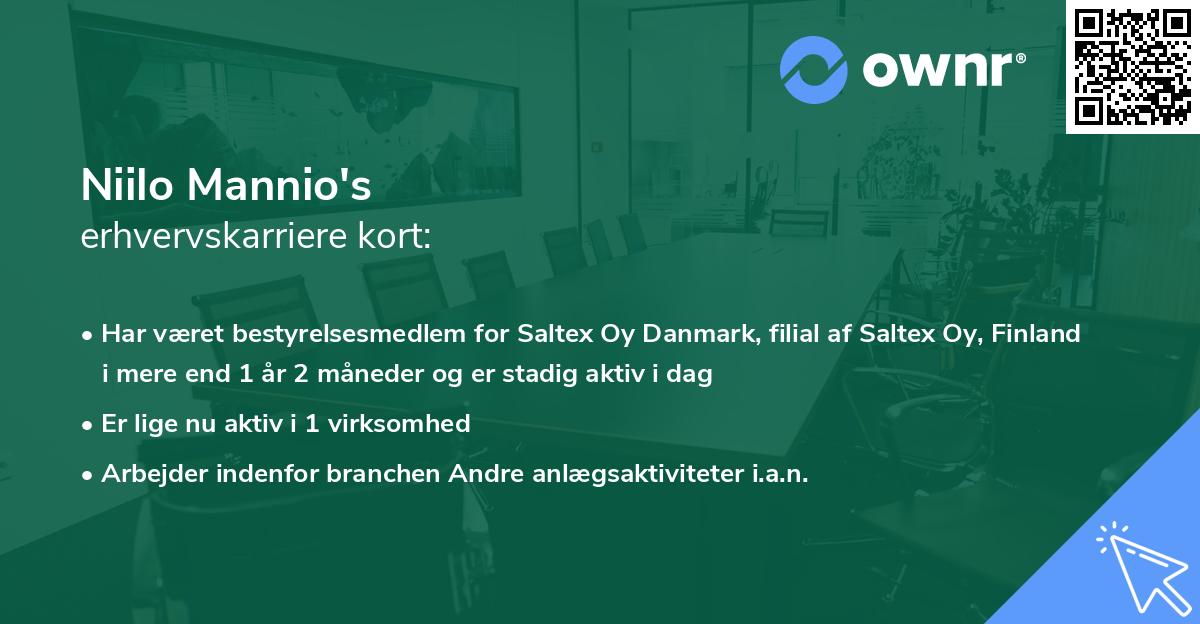 Niilo Mannio's erhvervskarriere kort