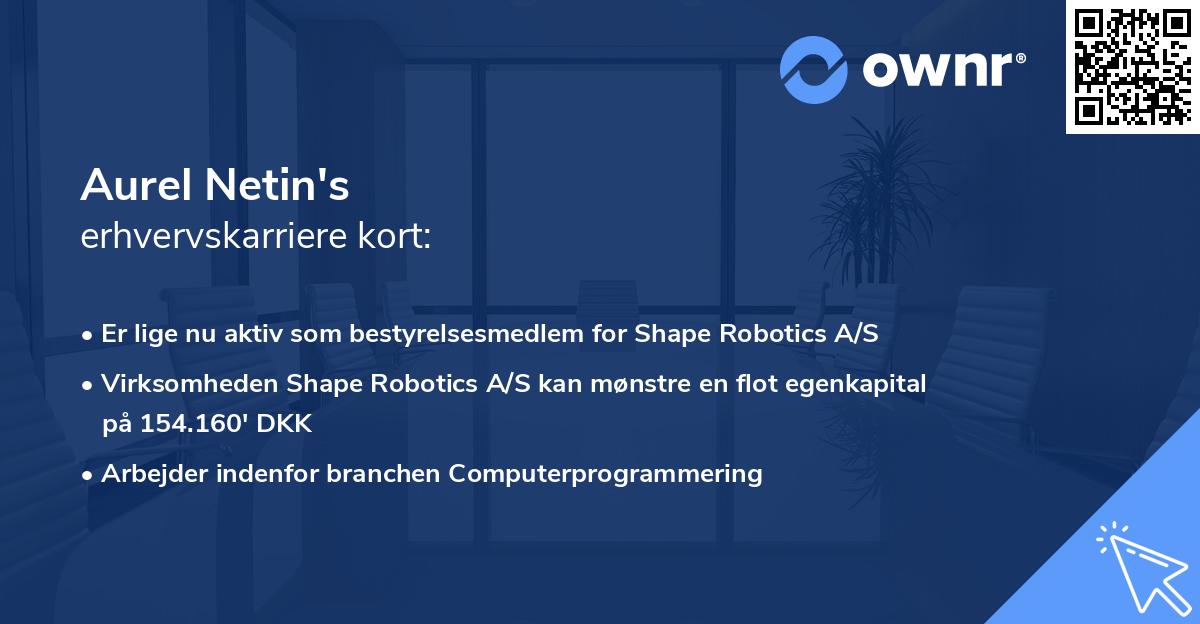 Aurel Netin's erhvervskarriere kort