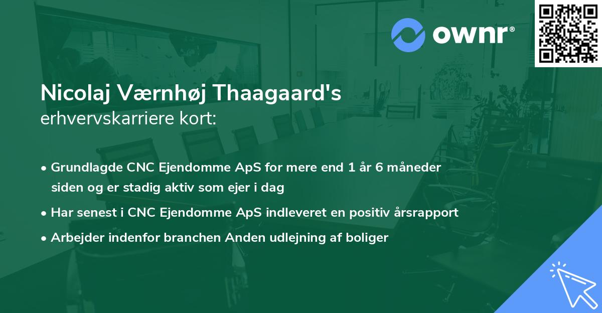 Nicolaj Værnhøj Thaagaard's erhvervskarriere kort