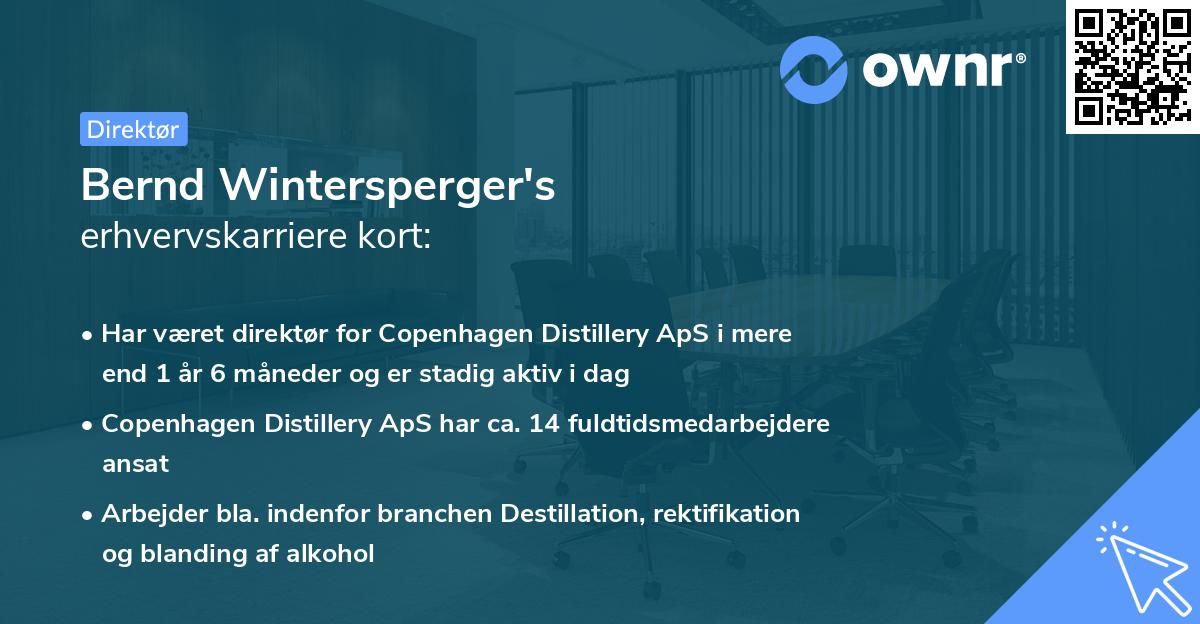 Bernd Wintersperger's erhvervskarriere kort