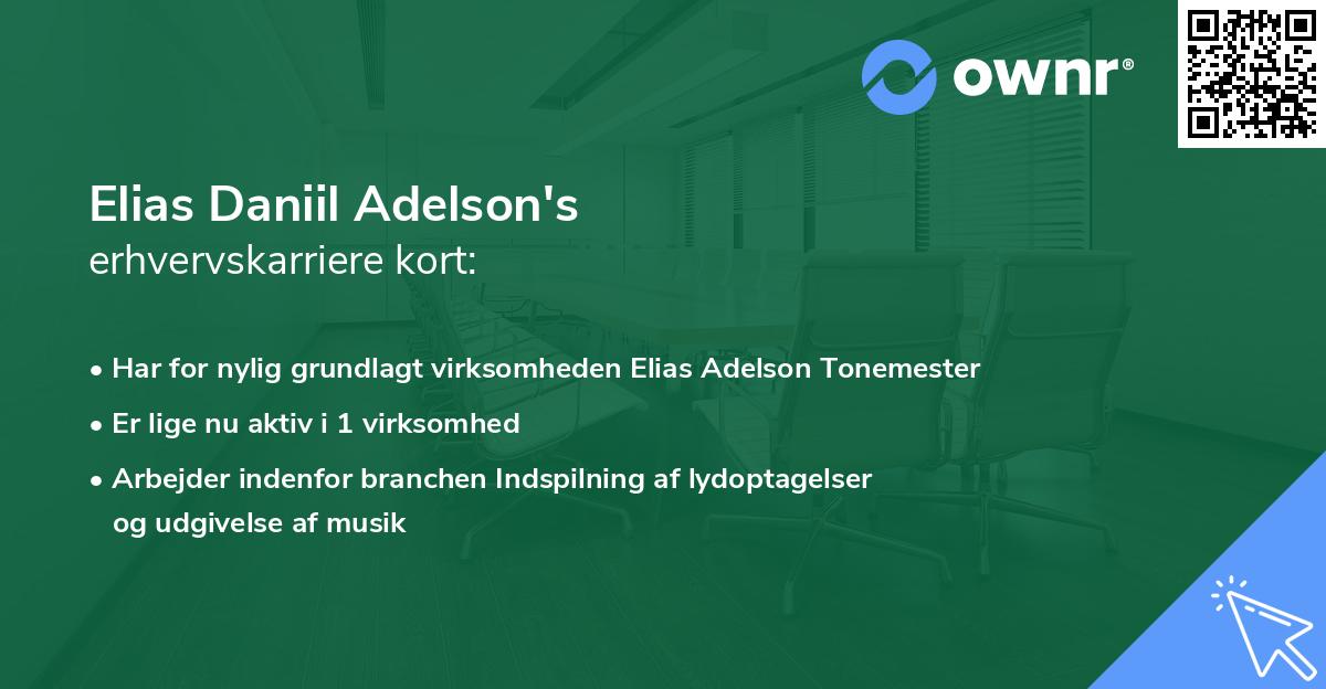 Elias Daniil Adelson's erhvervskarriere kort