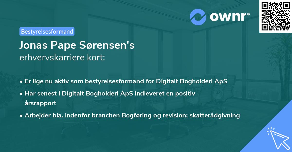 Jonas Pape Sørensen's erhvervskarriere kort